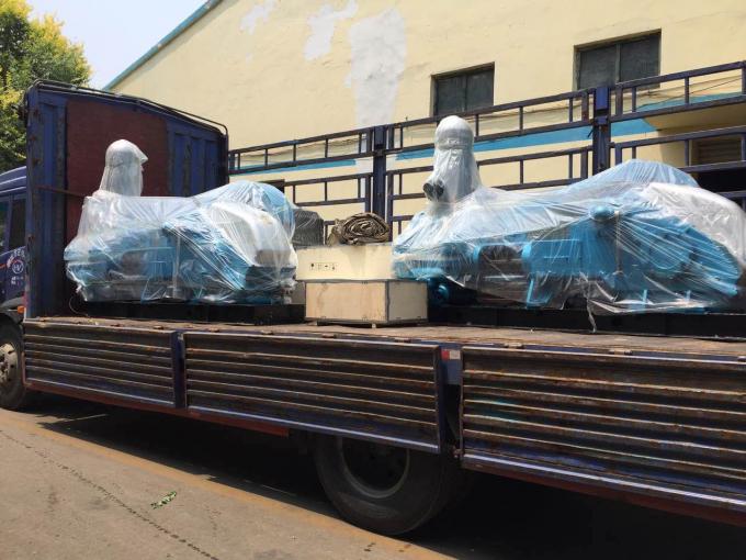 BW850-5 Horizontale Doppelzylinder-Kolbenpumpe mit doppeltwirkenden Kolben 3